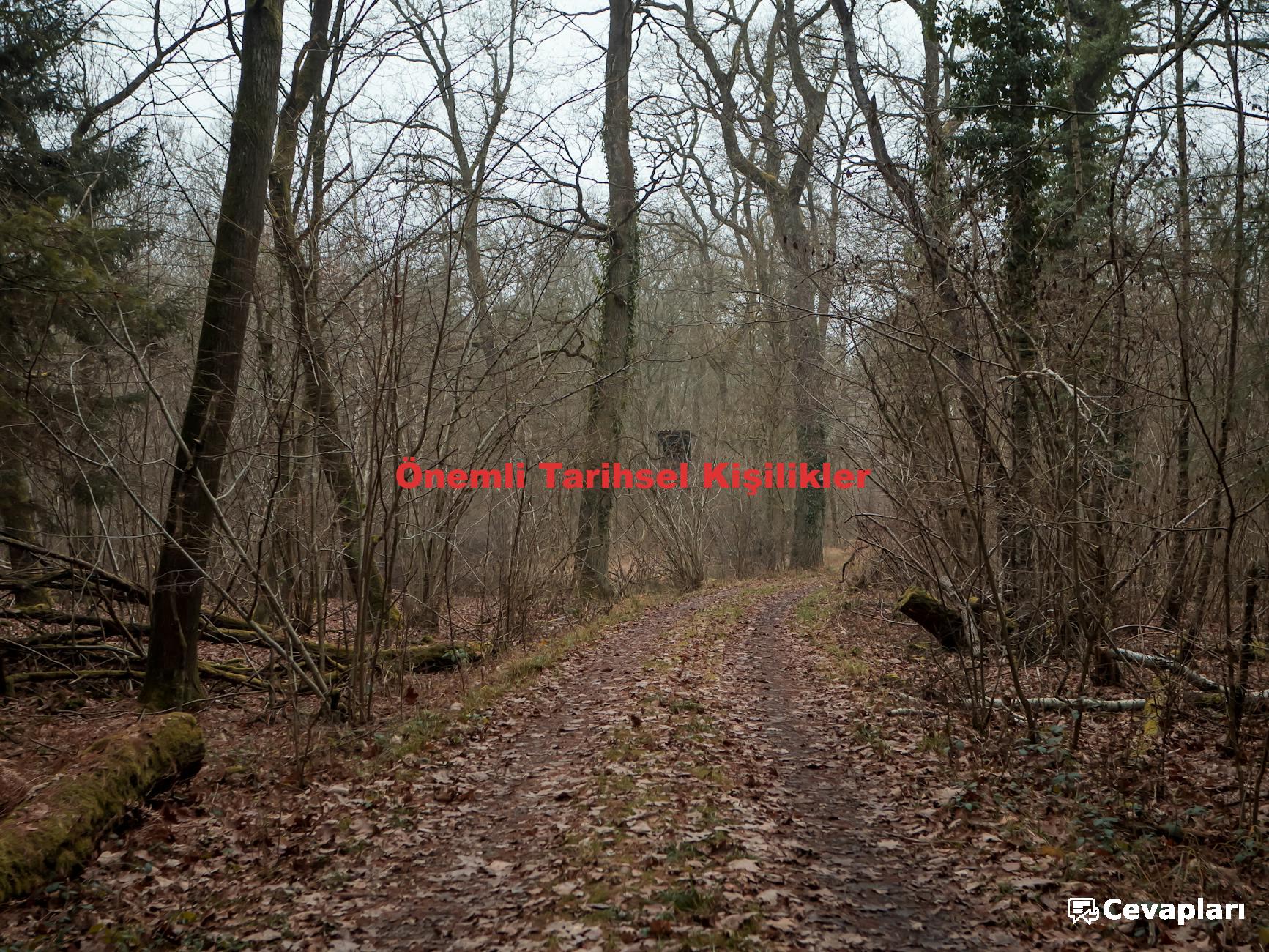 Önemli Tarihsel Kişilikler