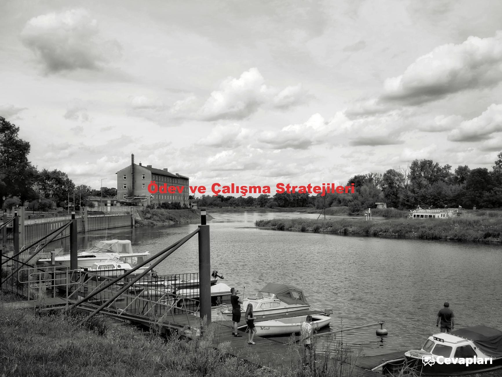 Ödev ve Çalışma Stratejileri