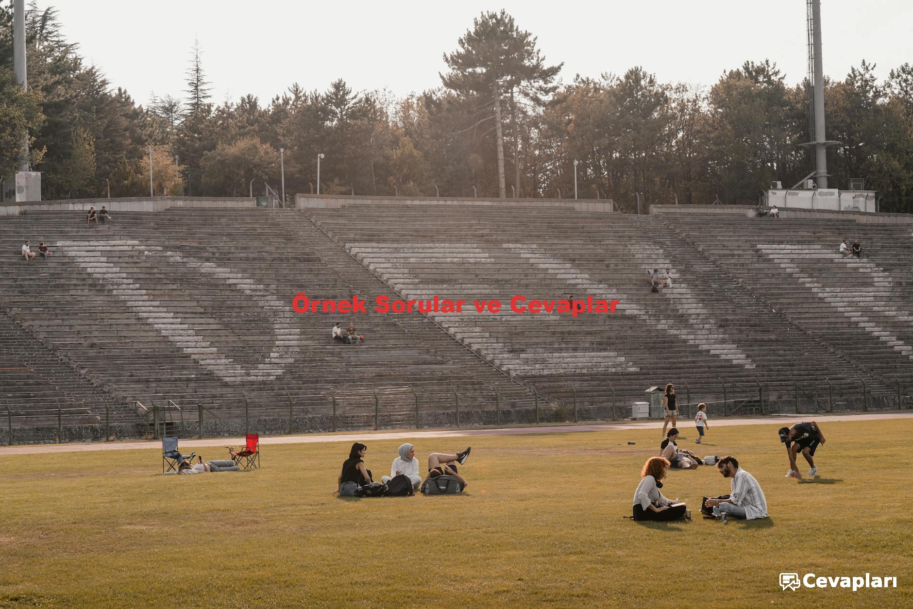 Örnek Sorular ve Cevaplar