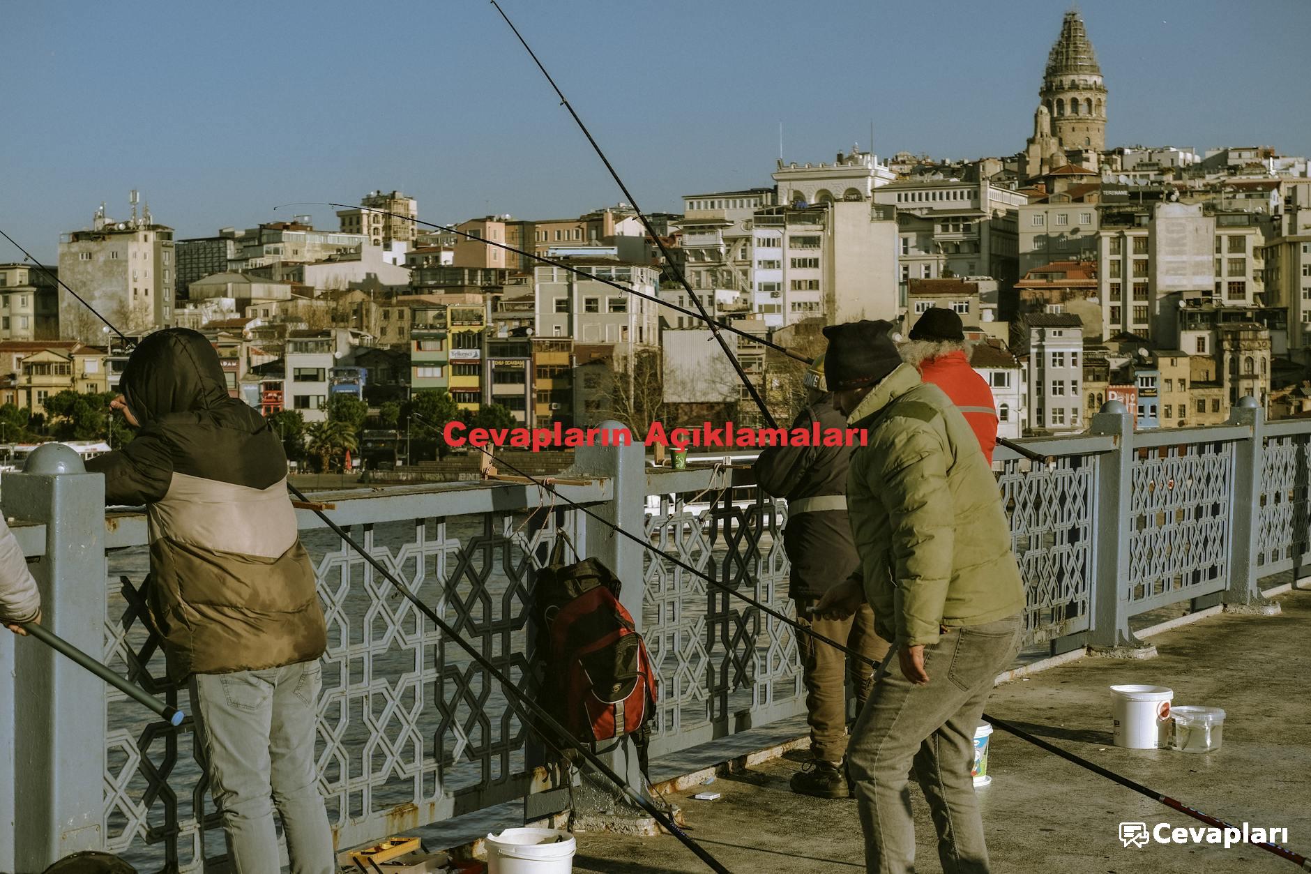 Cevapların Açıklamaları