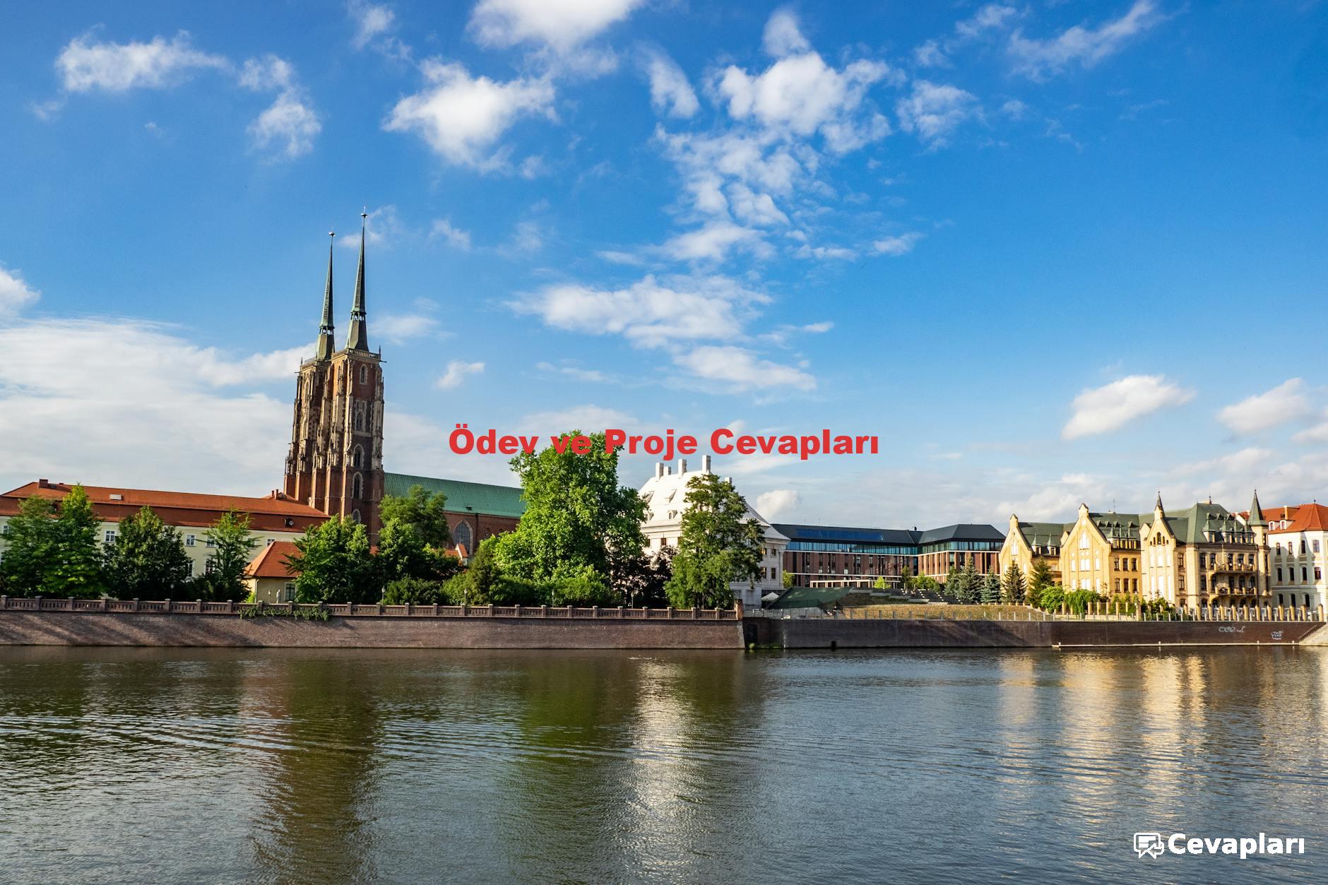 Ödev ve Proje Cevapları