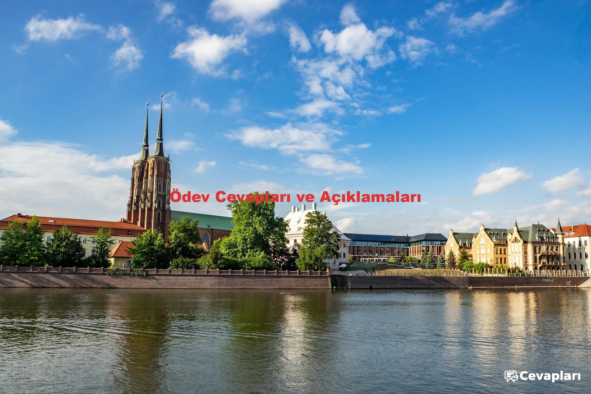 Ödev Cevapları ve Açıklamaları