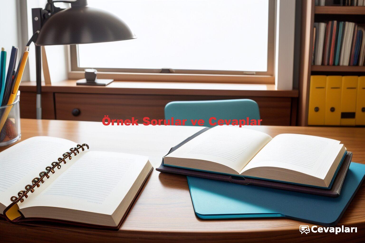 Örnek Sorular ve Cevaplar