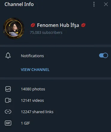 Fenomen Hub İfşa